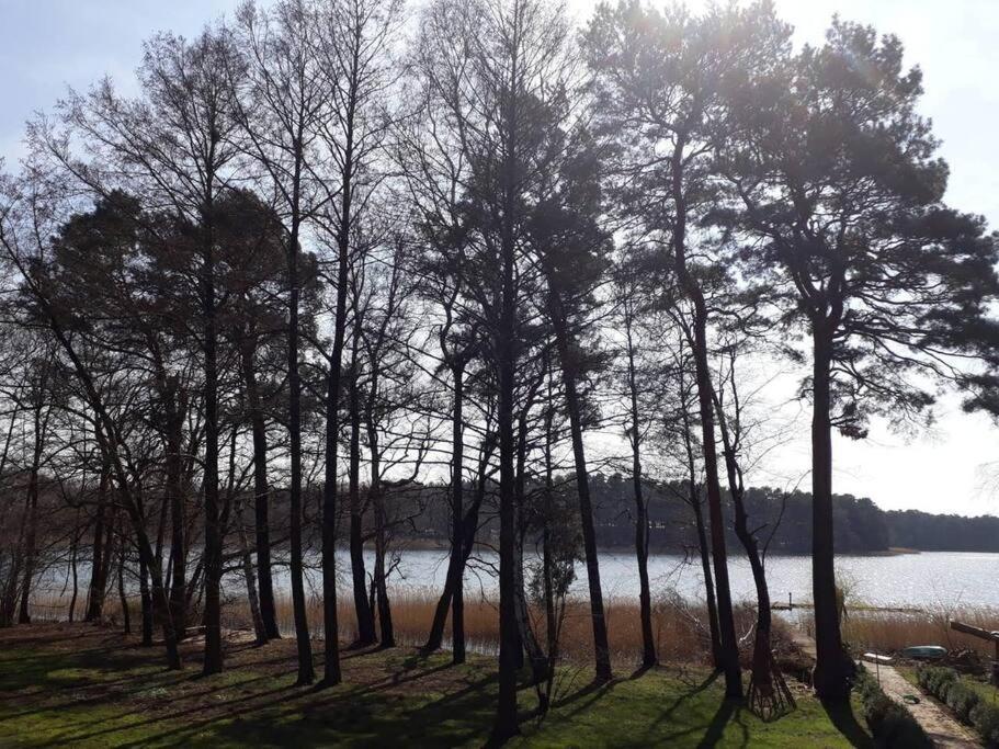 Penthouse Bernd Im Waldschloesschen Direkt Am See Wendisch Rietz Exterior foto